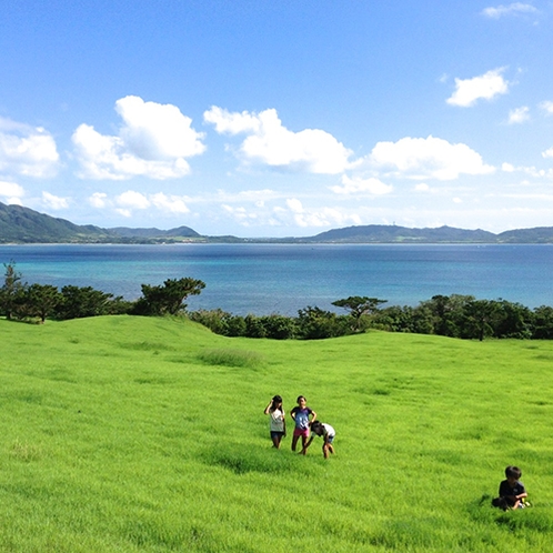 *緑のガーデン／海が目の前に広がるＨＯ ＡＬＯＨＡのお庭！ビーチまでも歩いて行けます♪