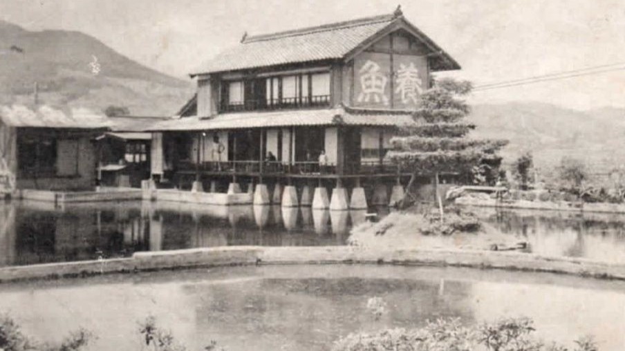 しらさぎ荘、創業当時の佇まい。今も変わらぬ湧水の恵みとともに。