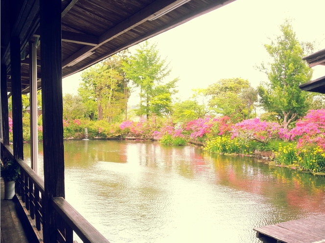 熊本県平成の名水百選の湧水池