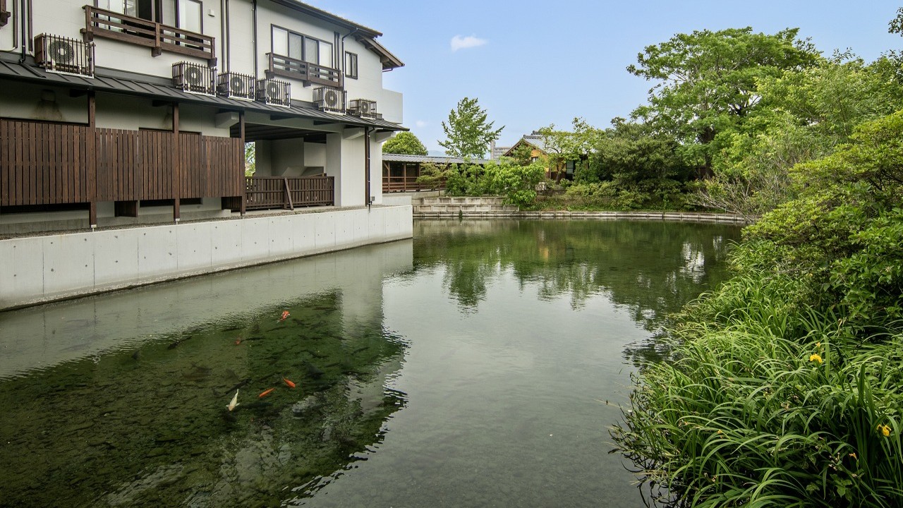 広大な湧水池が拡がり、湧き出でる湧水の水紋が見れる