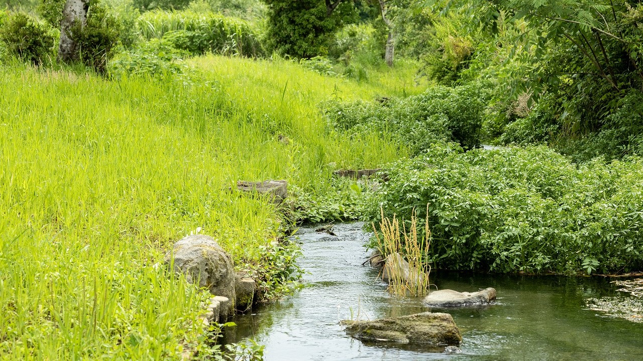 しらさぎ荘の近くを流れる小川