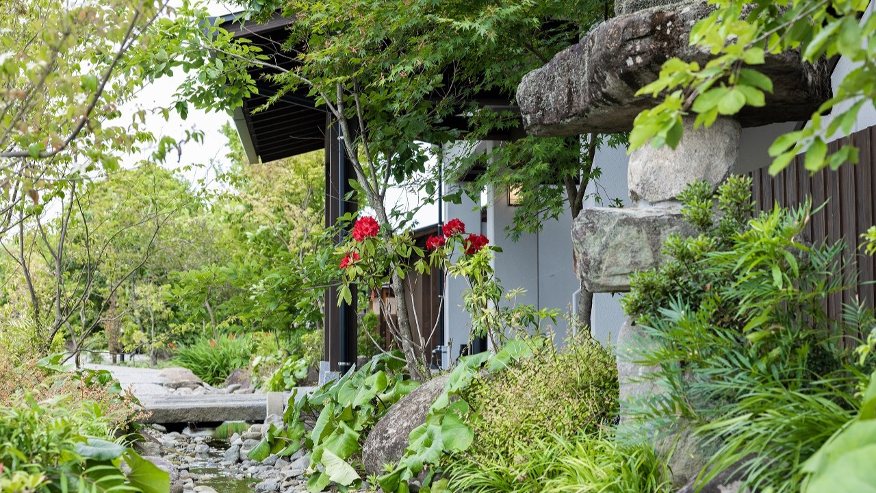 石燈籠と草花が織りなす、静かな時間