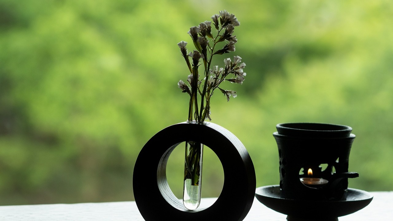 季節の野草でおもてなし