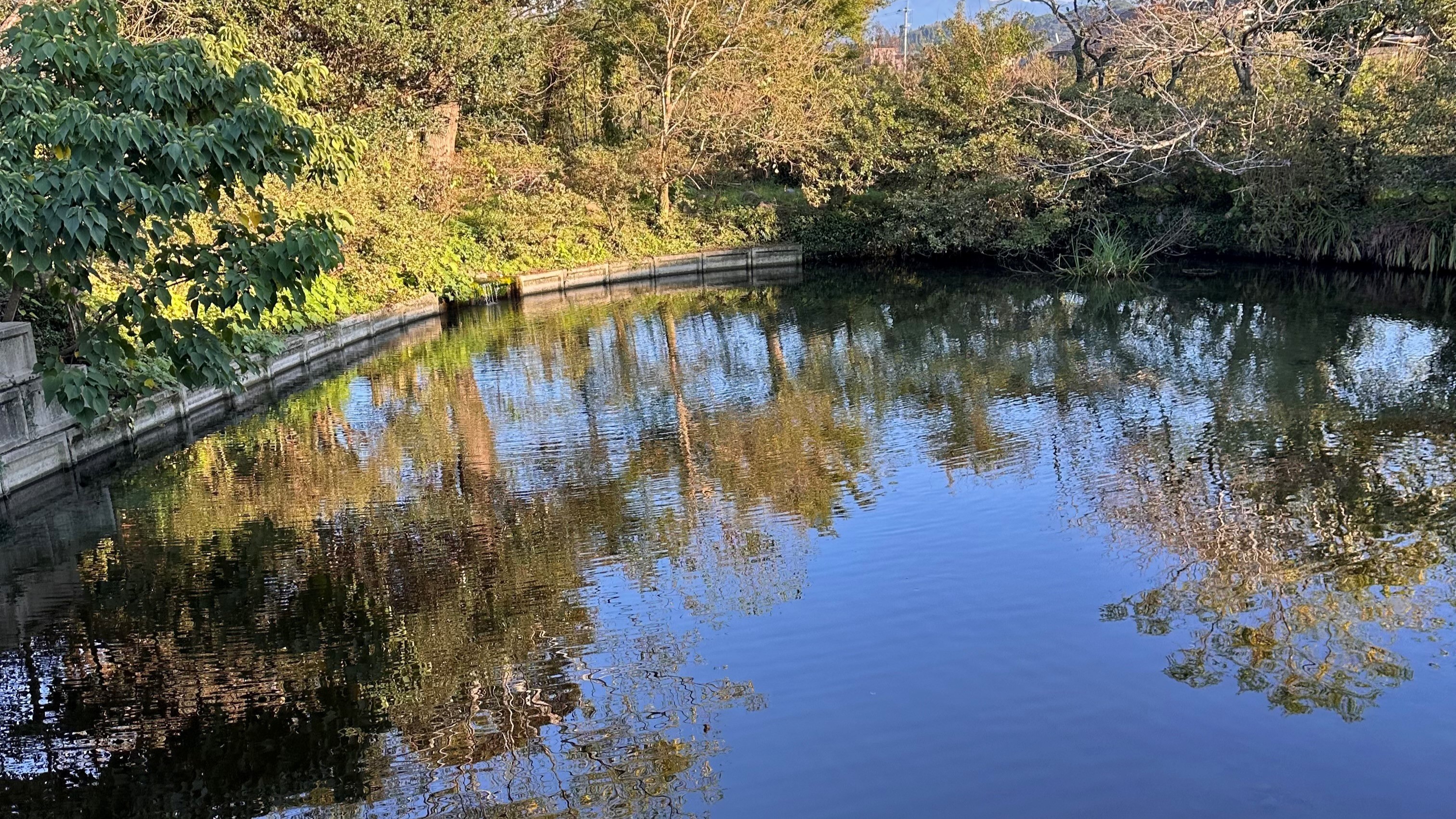 四季の彩りを映す、しらさぎ荘の湧水池