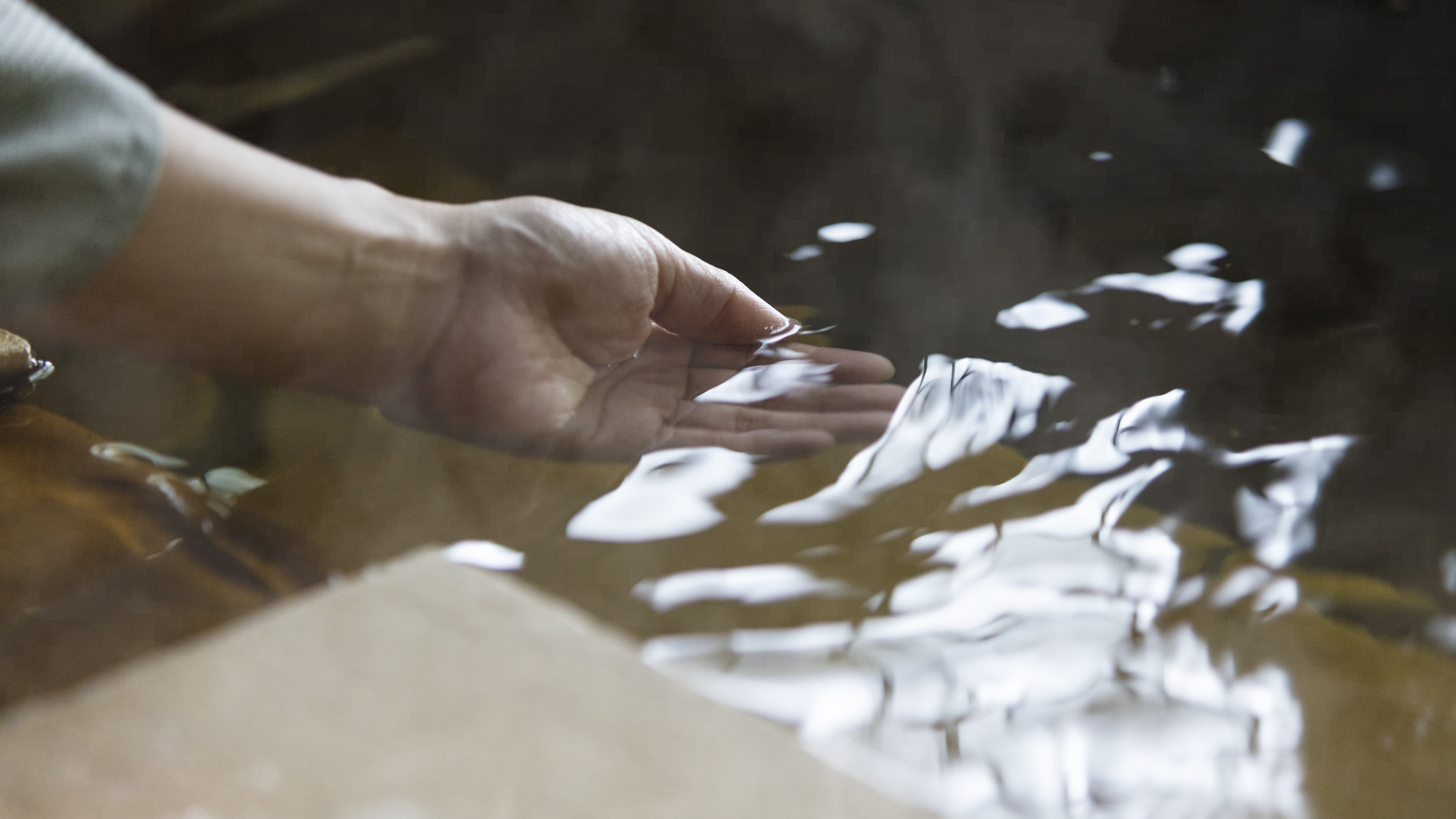 静けさに包まれ、湯のぬくもりを掌に。