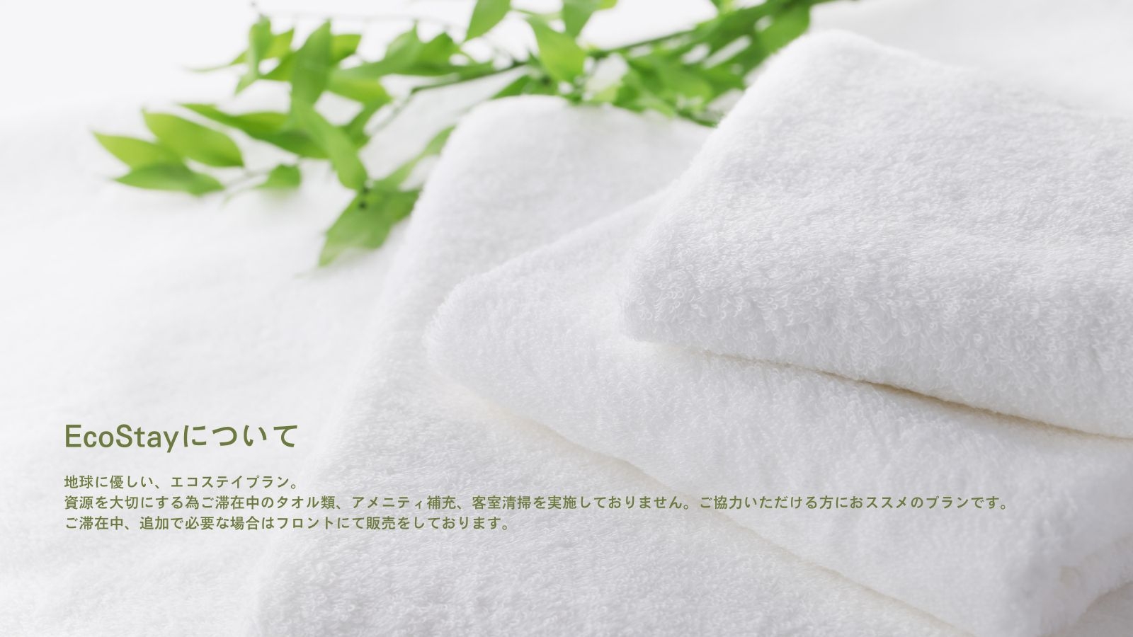 【連泊割】2連泊以上！ご滞在中清掃不要で10％OFF（食事なし）