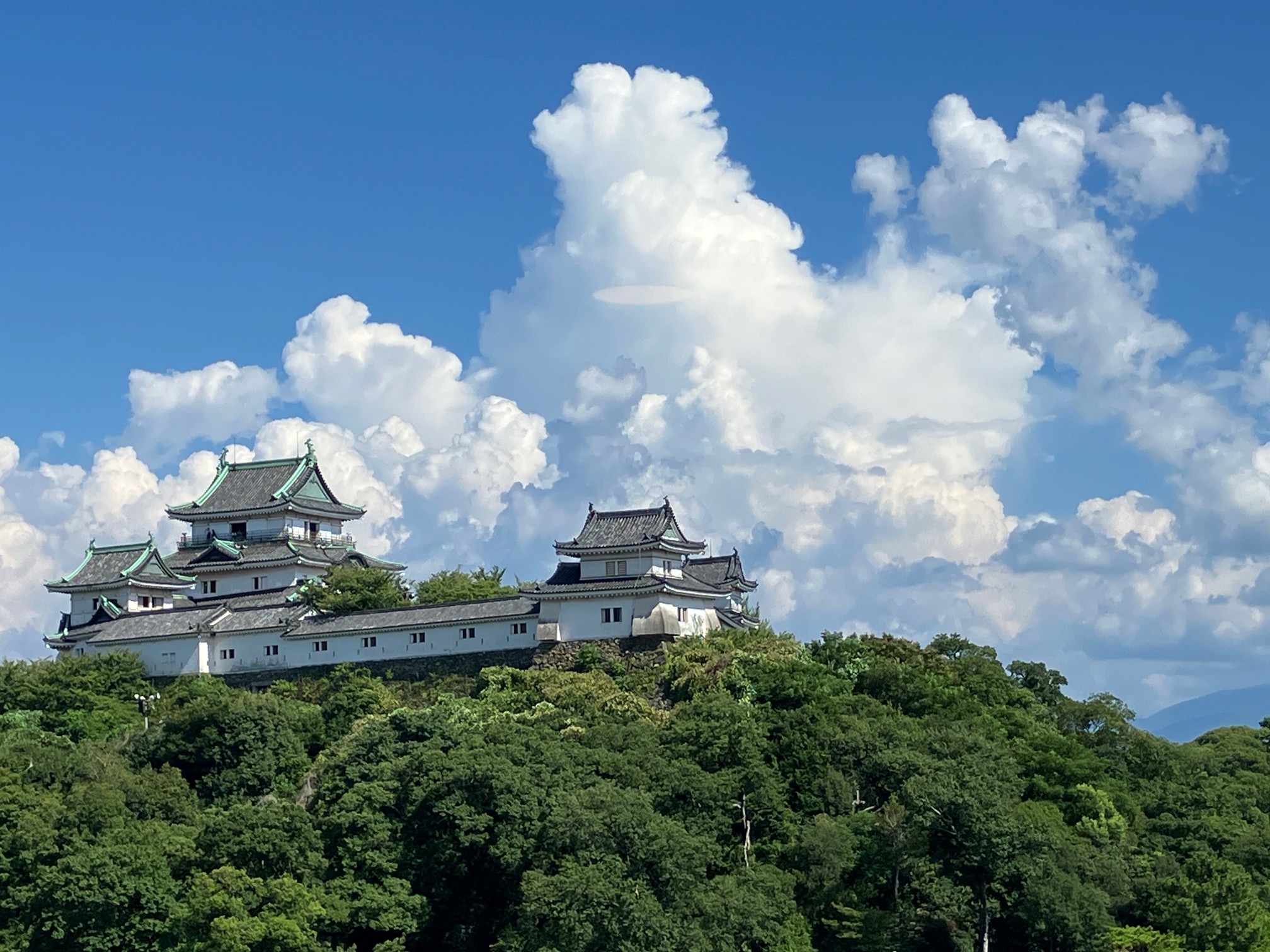 和歌山城（当ホテル目の前）と入道雲