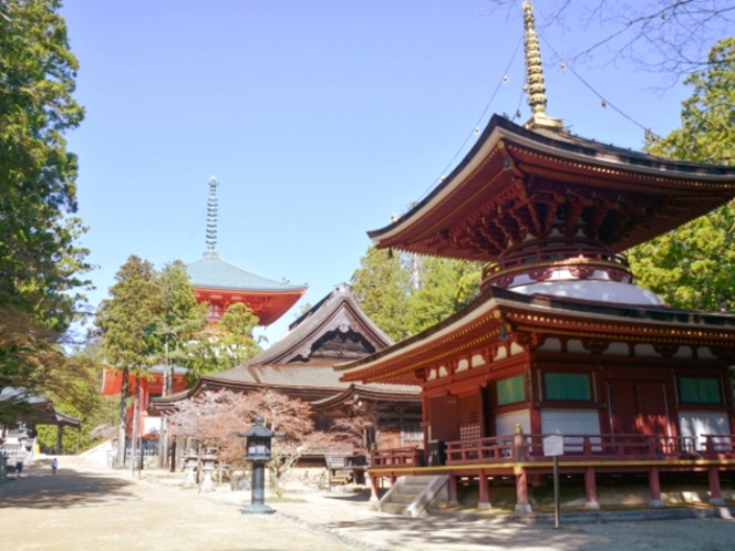 高野山(当館から車で１時間３０分ほど)