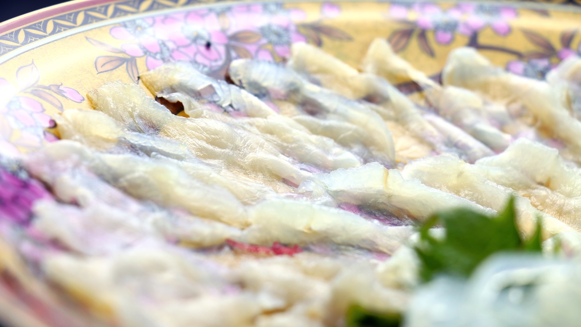 【年末年始】贅沢とらふぐ＆白子焼き付き♪♪冬の味覚とらふぐをお腹いっぱい大満足に♪