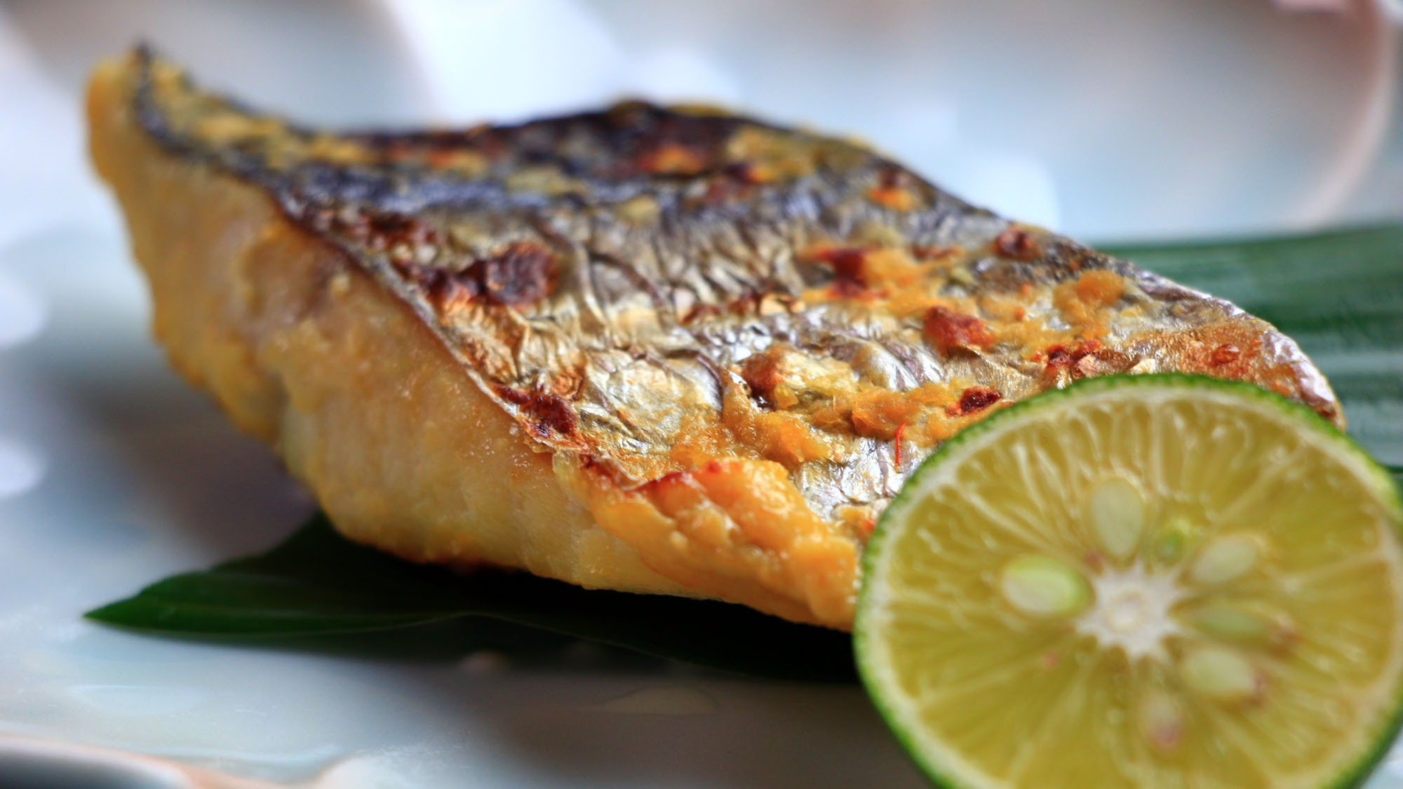 【天然魚＆イカ＆伊勢エビ】新鮮な海の幸を贅沢に♪