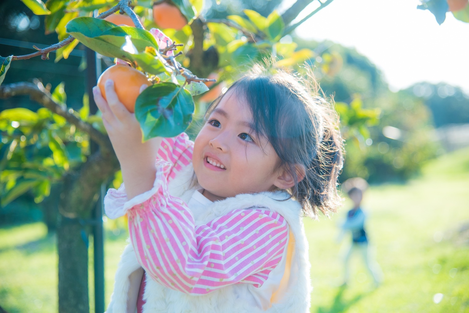 【フルーツパーク入園券＆フルーツ狩りチケット付】季節のディナーバイキング1泊2食プラン