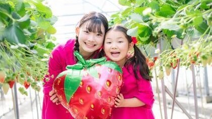 【いちご狩りを満喫♪】〜いちご狩り体験2食付プラン〜夕食は和洋バイキング