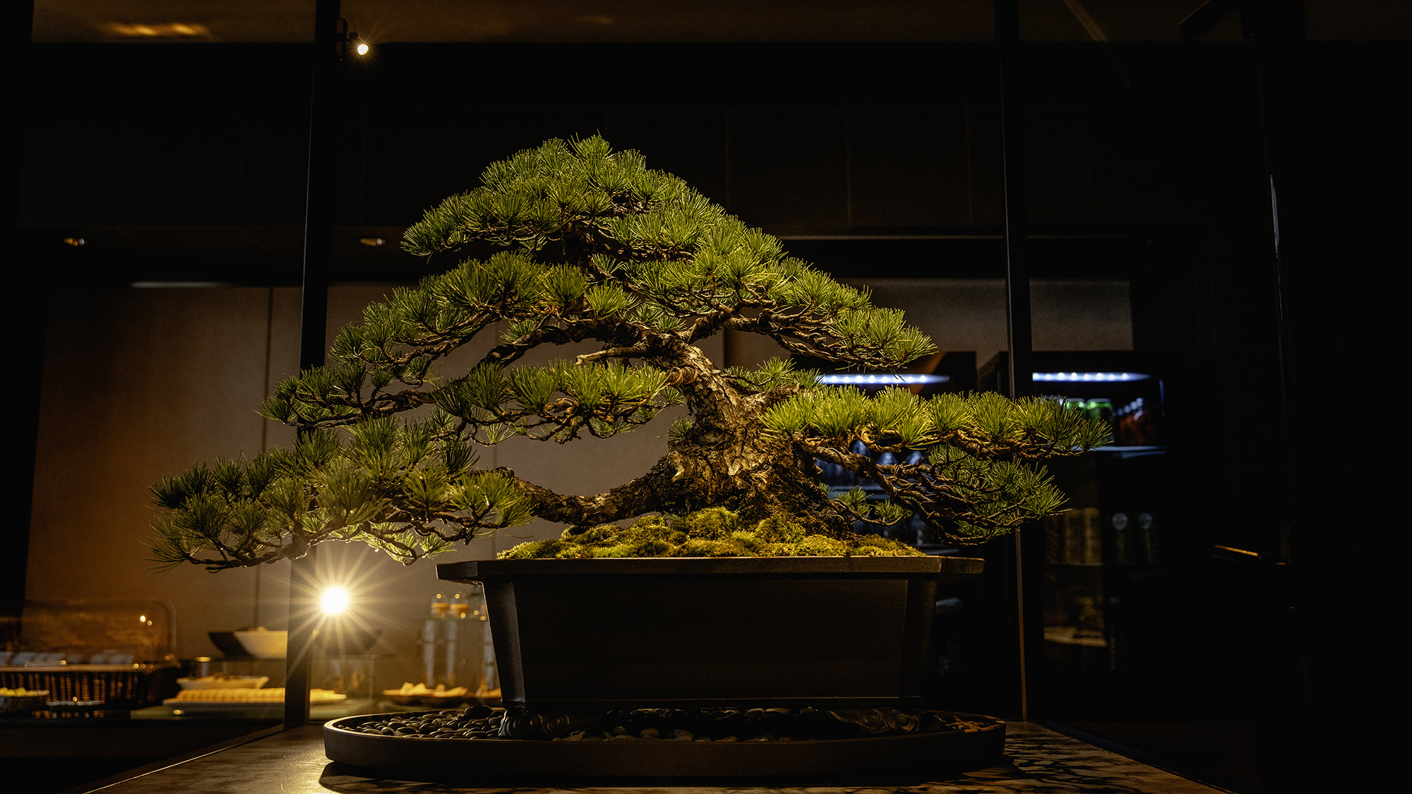 【プレミアムラウンジ】2025年9月 限定ラウンジがリニューアルOPEN