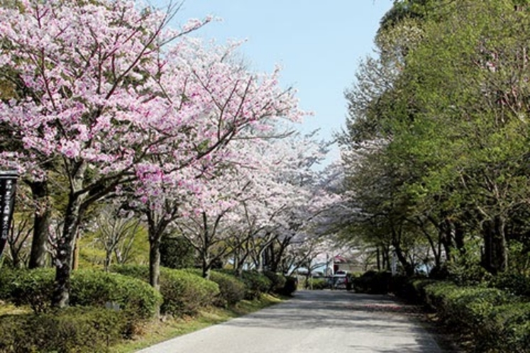 桜まつり