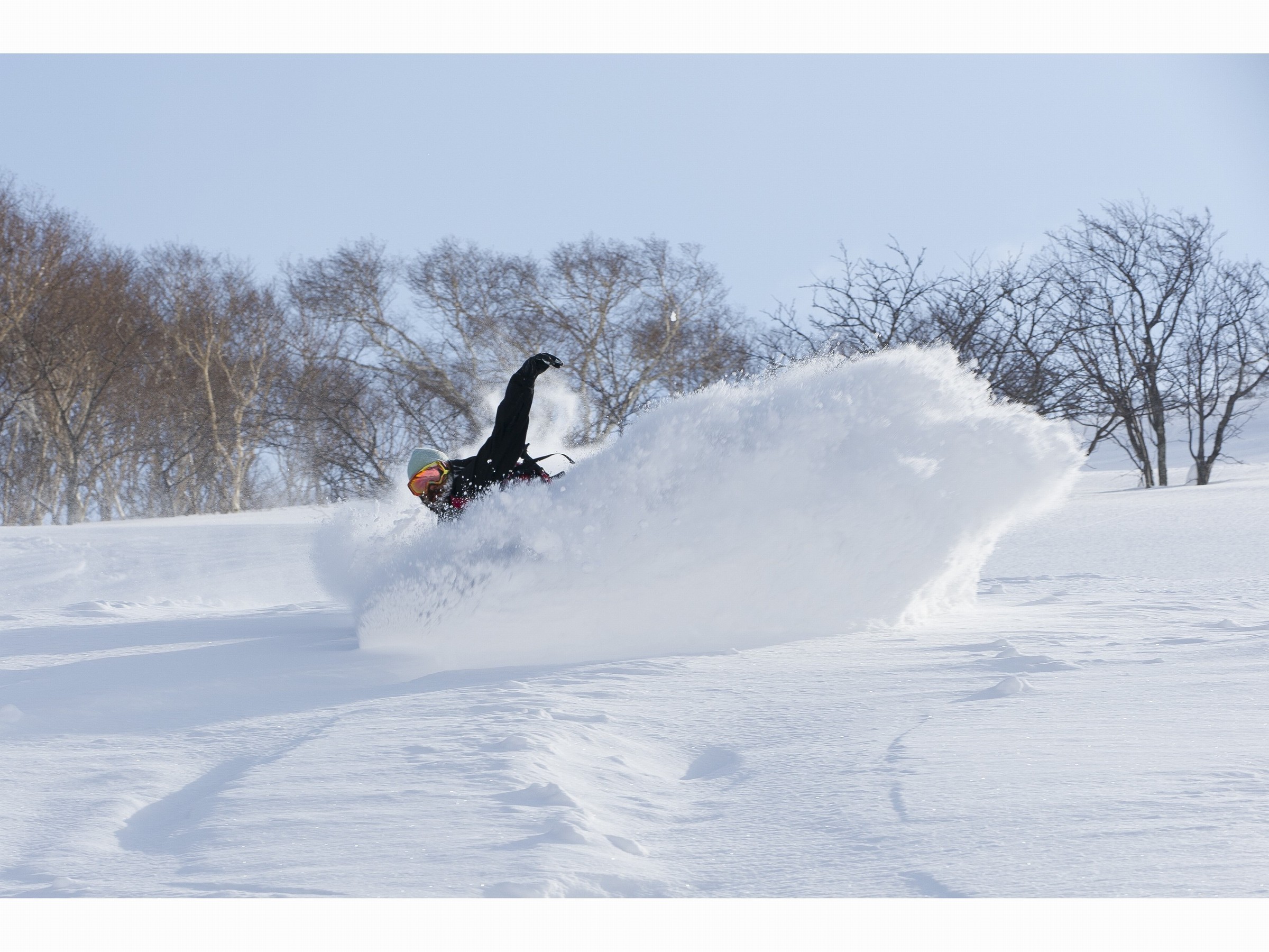 ニセコのパウダースノー