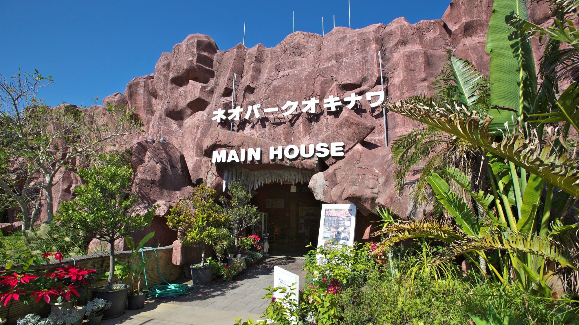 【周辺観光：ネオパークオキナワ】