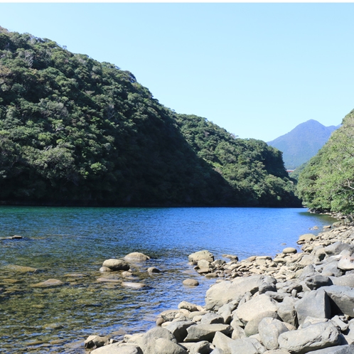 【安房川】宿のすぐ側には、屋久島で最もカヤックが盛んに行われる川。