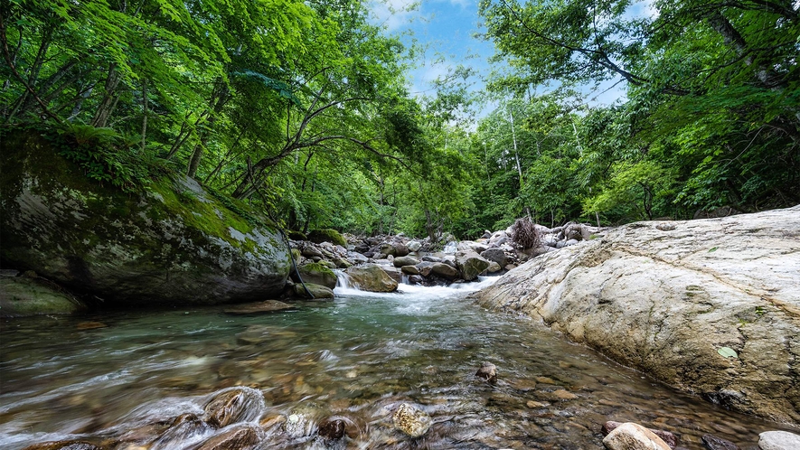 鬼怒沼の絶景