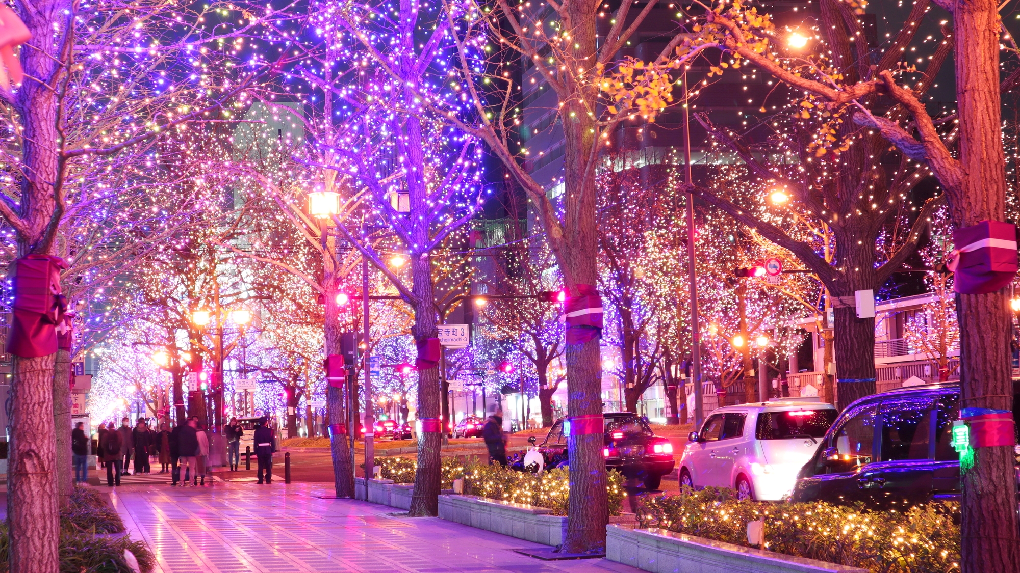 【当館から徒歩10分】銀杏並木が続く都会のショッピング街「御堂筋」