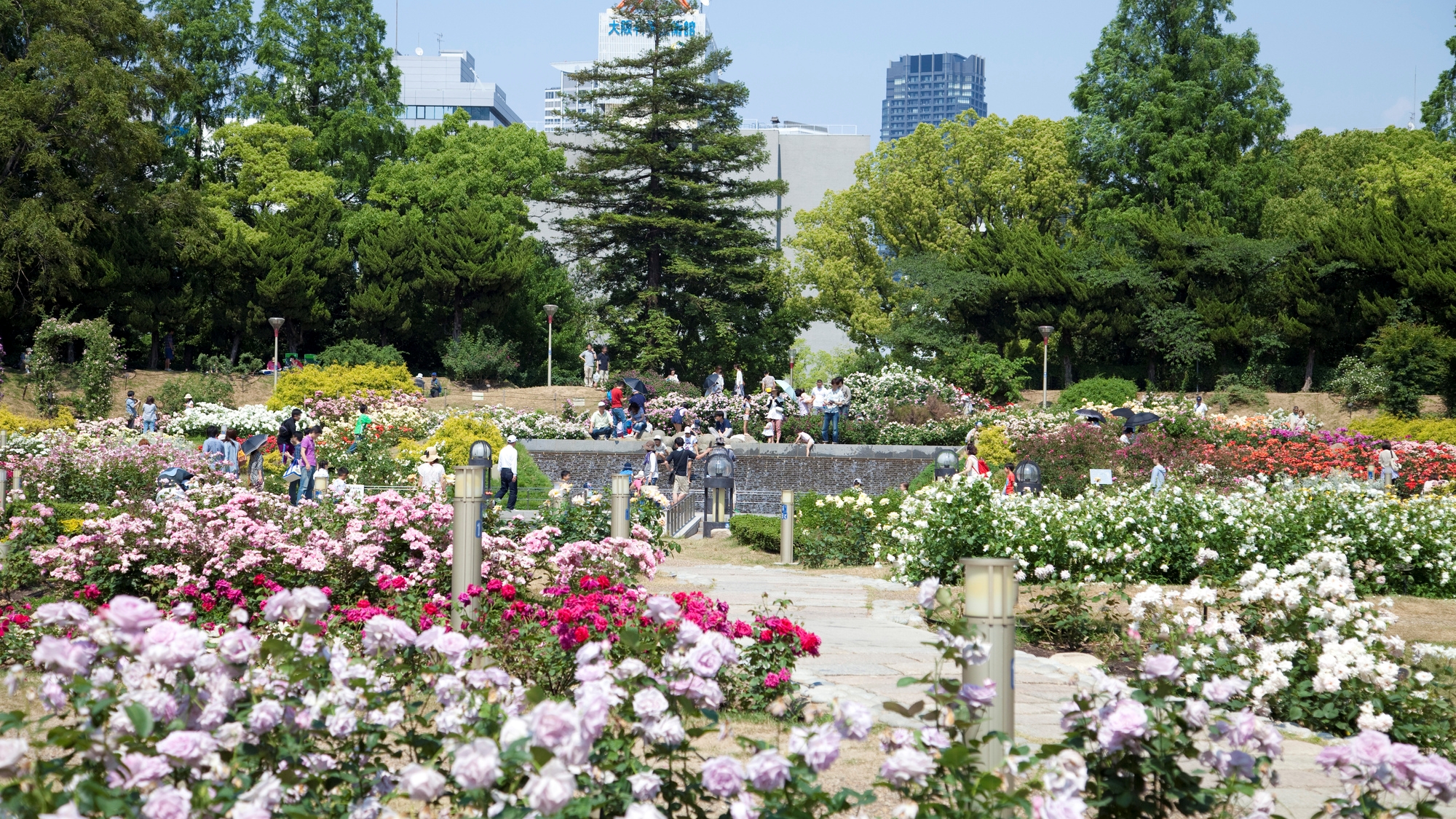 四季折々の花々が美しい「靭公園」