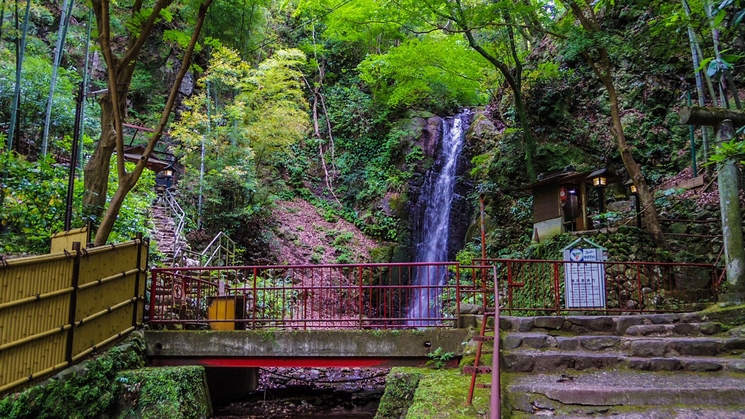 ◆素泊まり◆温泉は24h入浴OK！貸切対応も可能♪PH8.5美肌の湯を満喫♪ビジネスも歓迎！