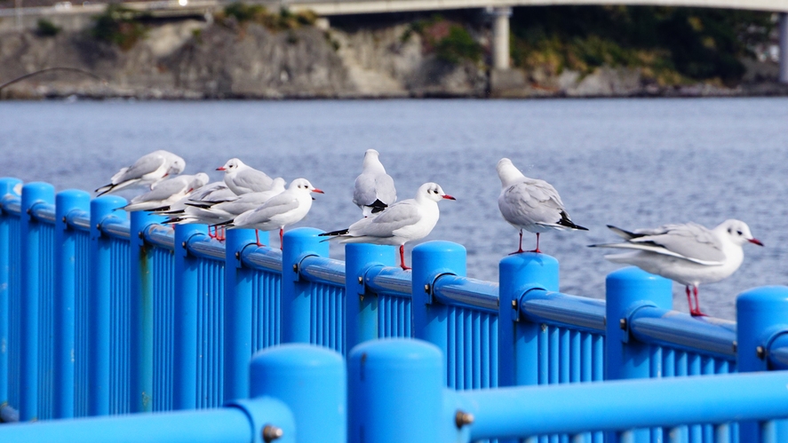 ◆素泊まり◆温泉は24h入浴OK！貸切対応も可能♪PH8.5美肌の湯を満喫♪ビジネスも歓迎！