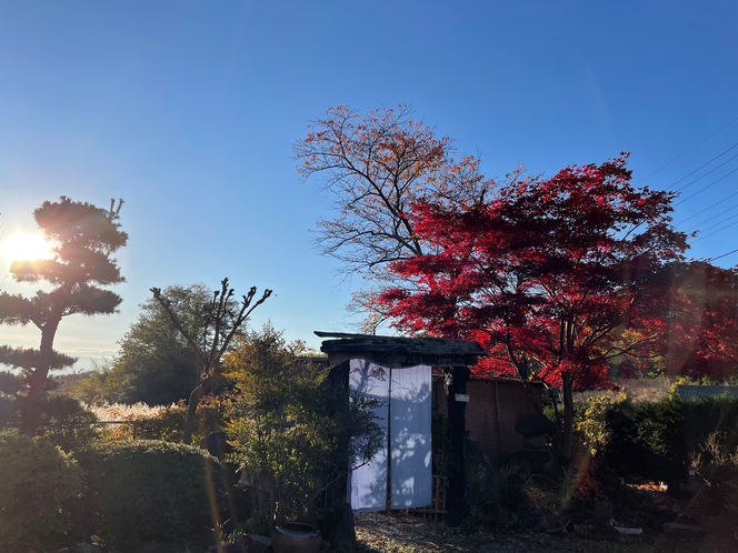 秋の青雲館。真っ赤なもみじの下で入る五右衛門風呂は他では味わえません(^^♪