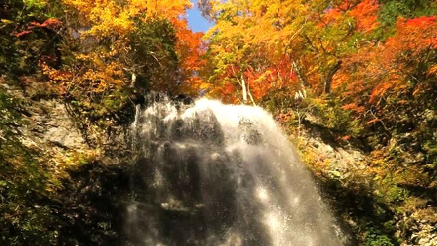 ＜秋＞【秋の小野川不動滝ハイク】広葉樹の美しい色彩とマイナスイオンを存分に楽しめます。