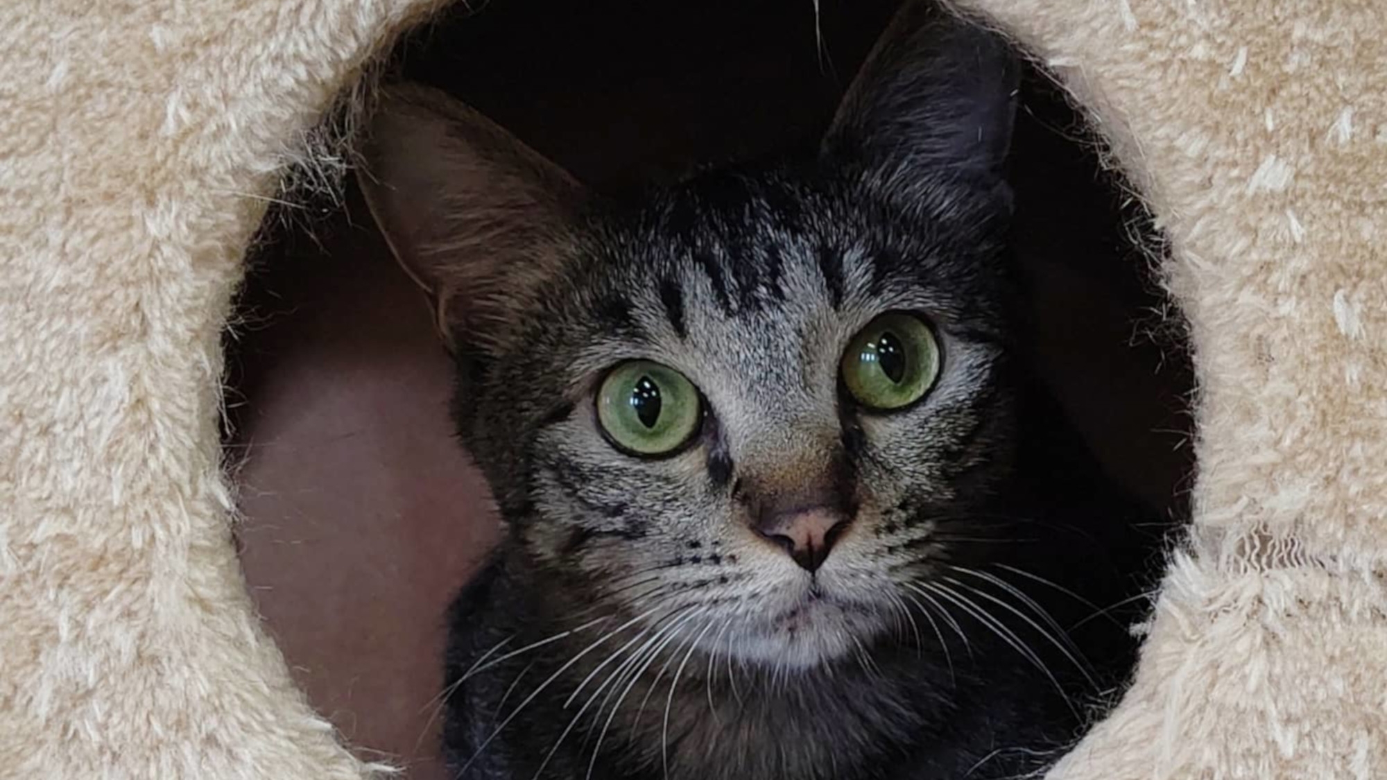 【シングルプラン】シンプルに一人旅を愉しむ　シングルルームと四季の創作和会席＜基本会席＞