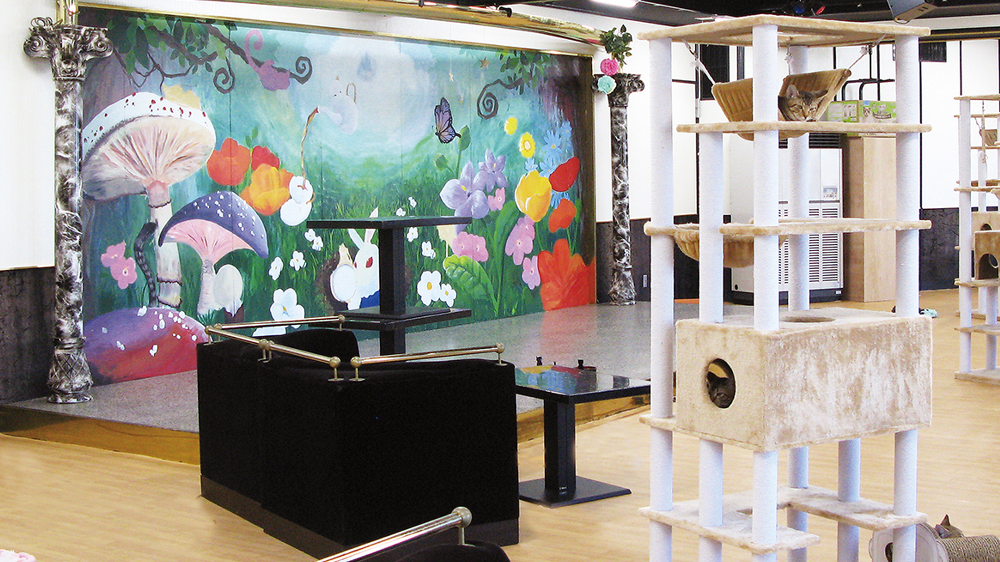 【別棟　猫宿はなはな】猫を好きなお客様が癒されることをひとつの体験としてご案内しております