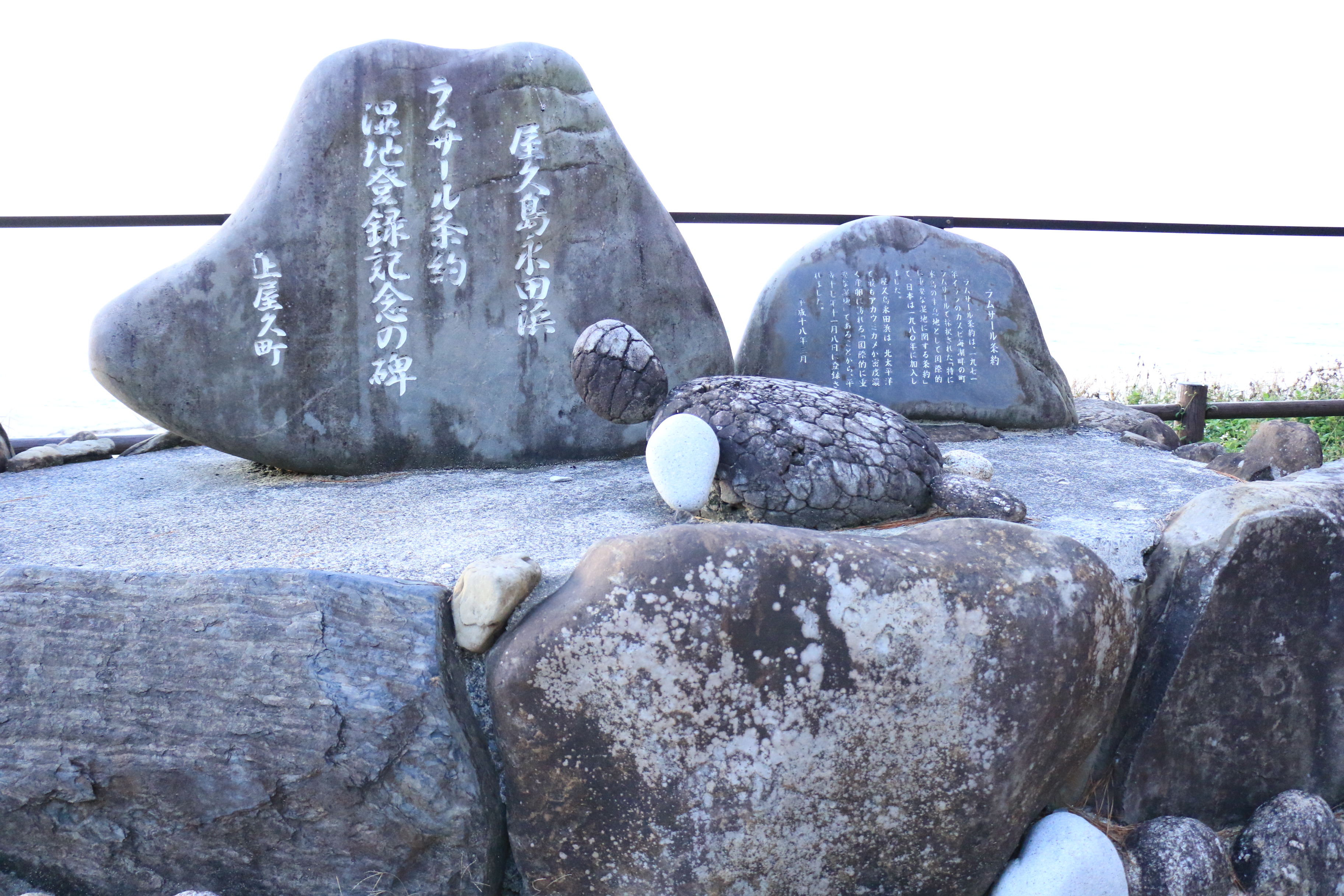 【いなか浜】ウミガメの産卵の地です