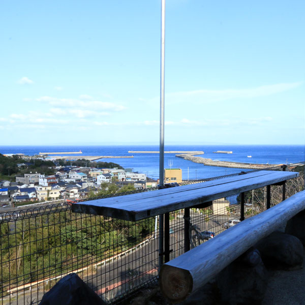 【癒しの館つわんこ】天気の良い日はお隣の種子島を眺望♪