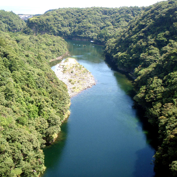 【大自然】照葉樹林帯に囲まれた癒しの空間