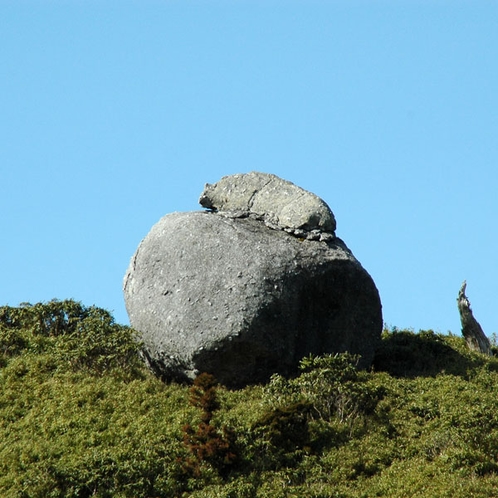 【大自然】動物のサイが岩の上に！？《サイ岩》