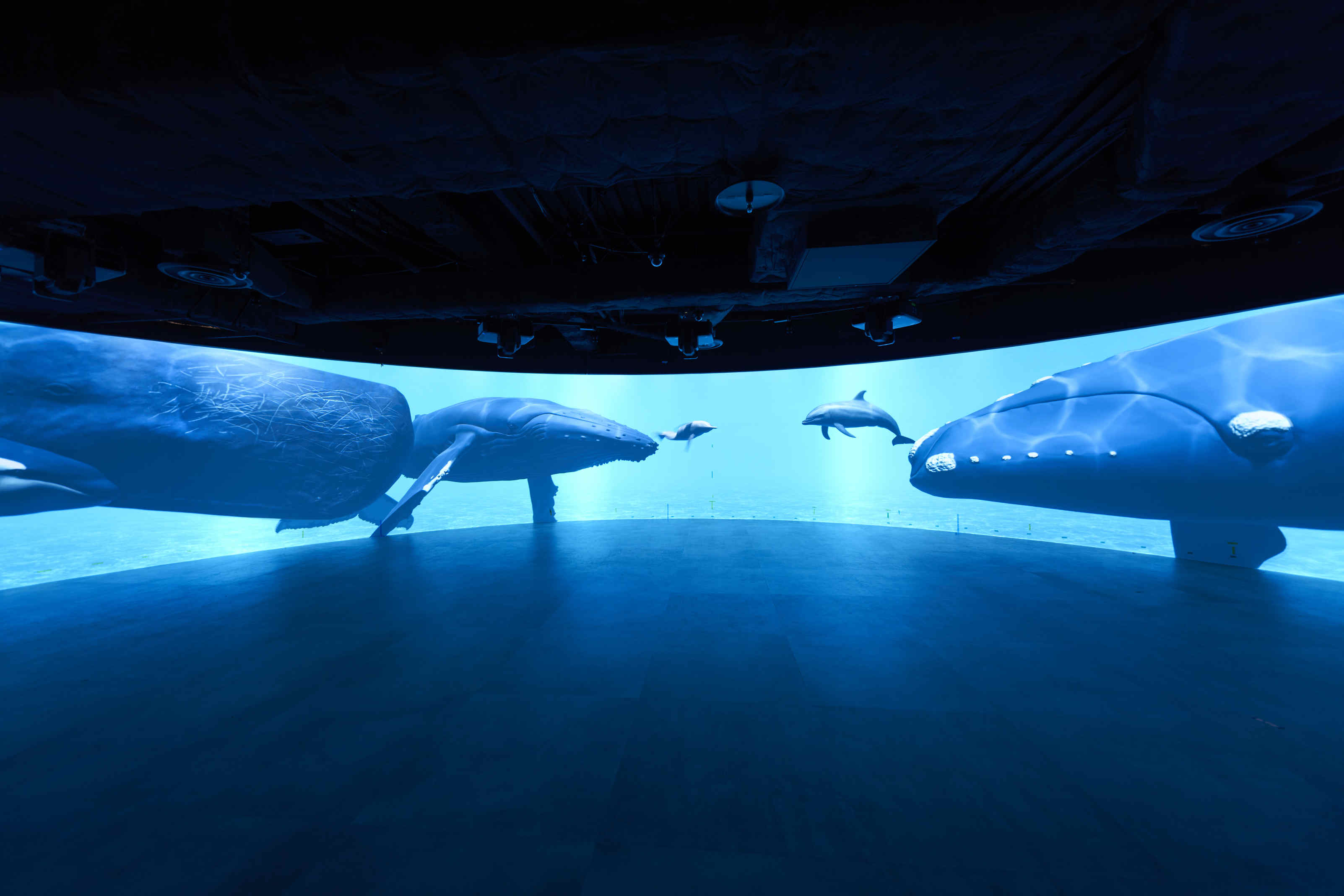 『現金不可』カワスイ 川崎水族館 入館チケット付 (素泊まり)　カップルにもおすすめ！