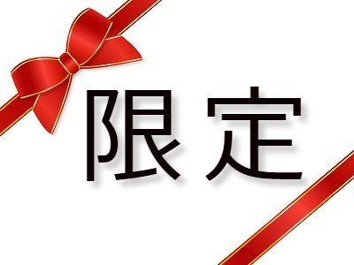 【秋冬SALE】スタンダードプラン　素泊まり　◆現金不可◆