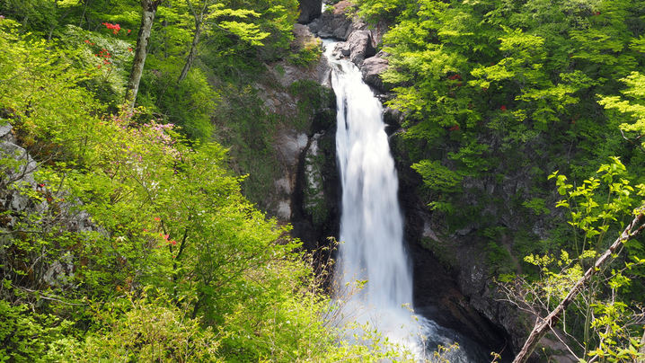 山旅♪嬉しい特典付！！兵庫の最高峰【氷ノ山】にチャレンジっ！当館自慢の鍋3種類から選べる夕食◎2食付