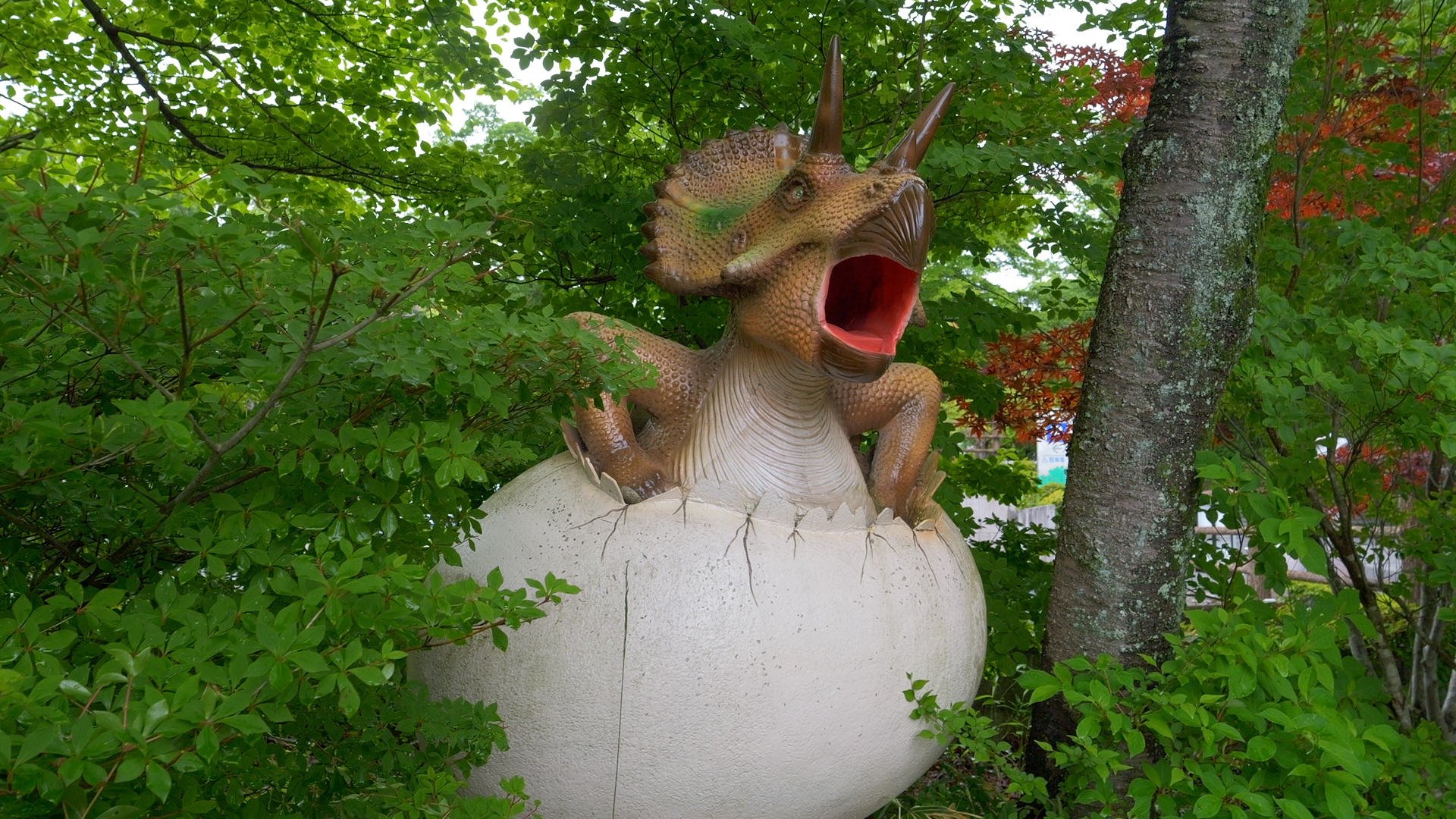 トリケラトプス