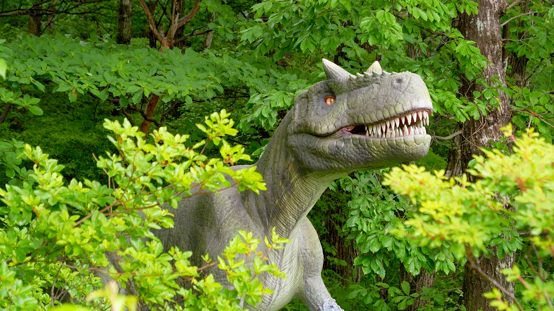 カルノタウルス