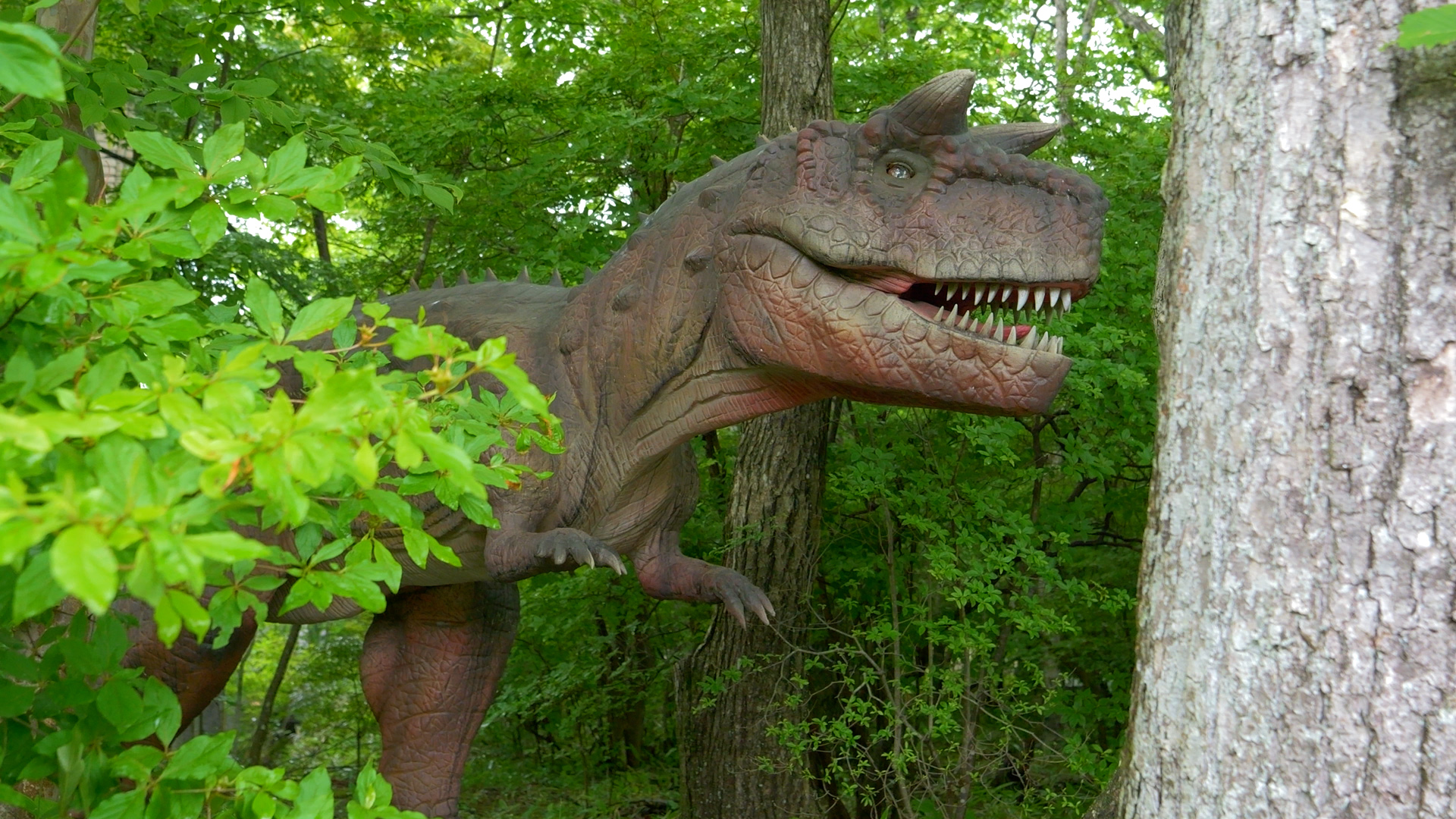 カルノタウルス