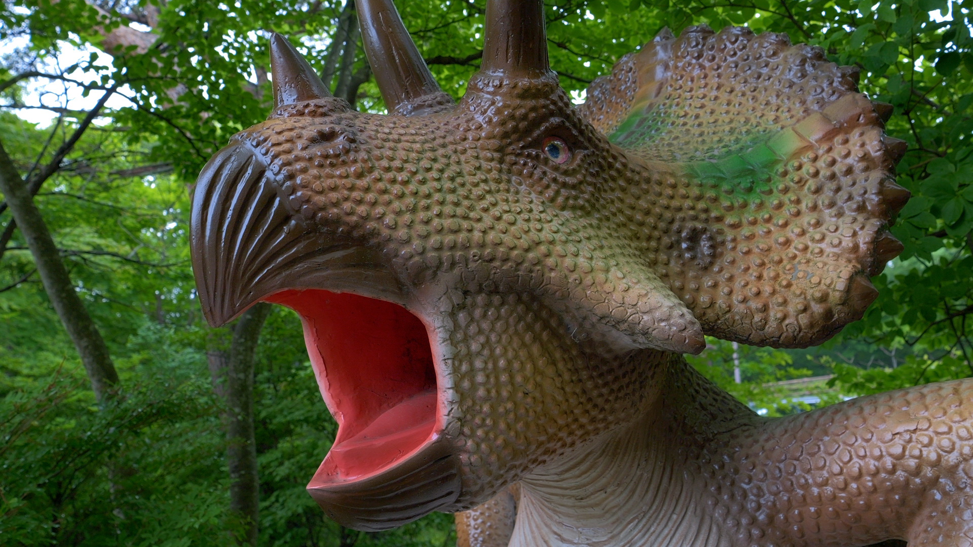 トリケラトプス