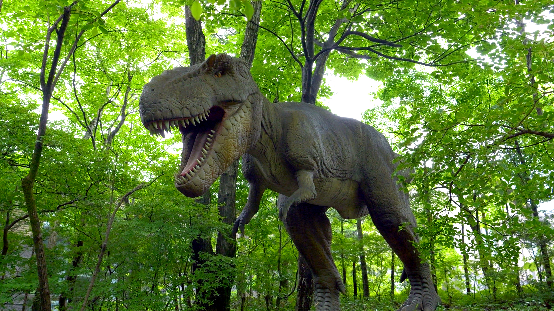 ティラノサウルス