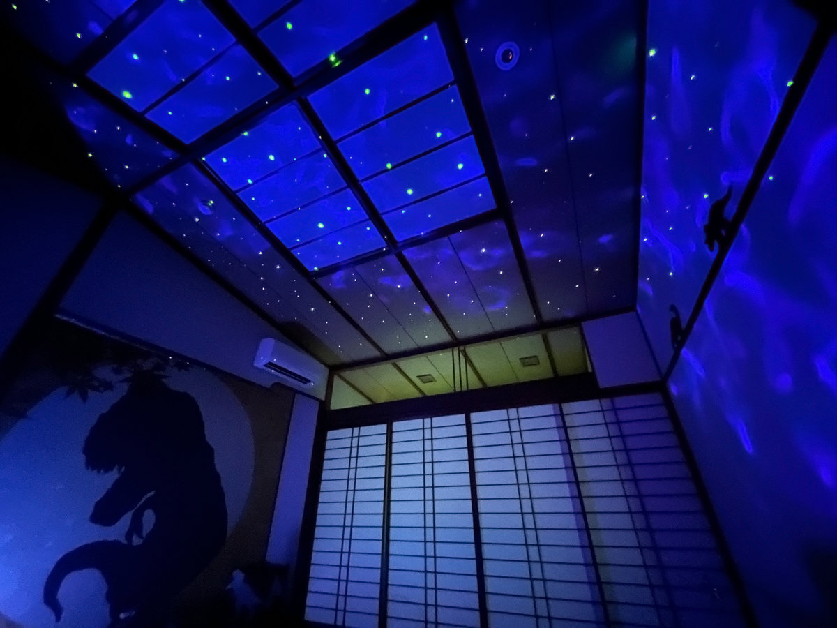 本館和室-ティラノサウルスルーム