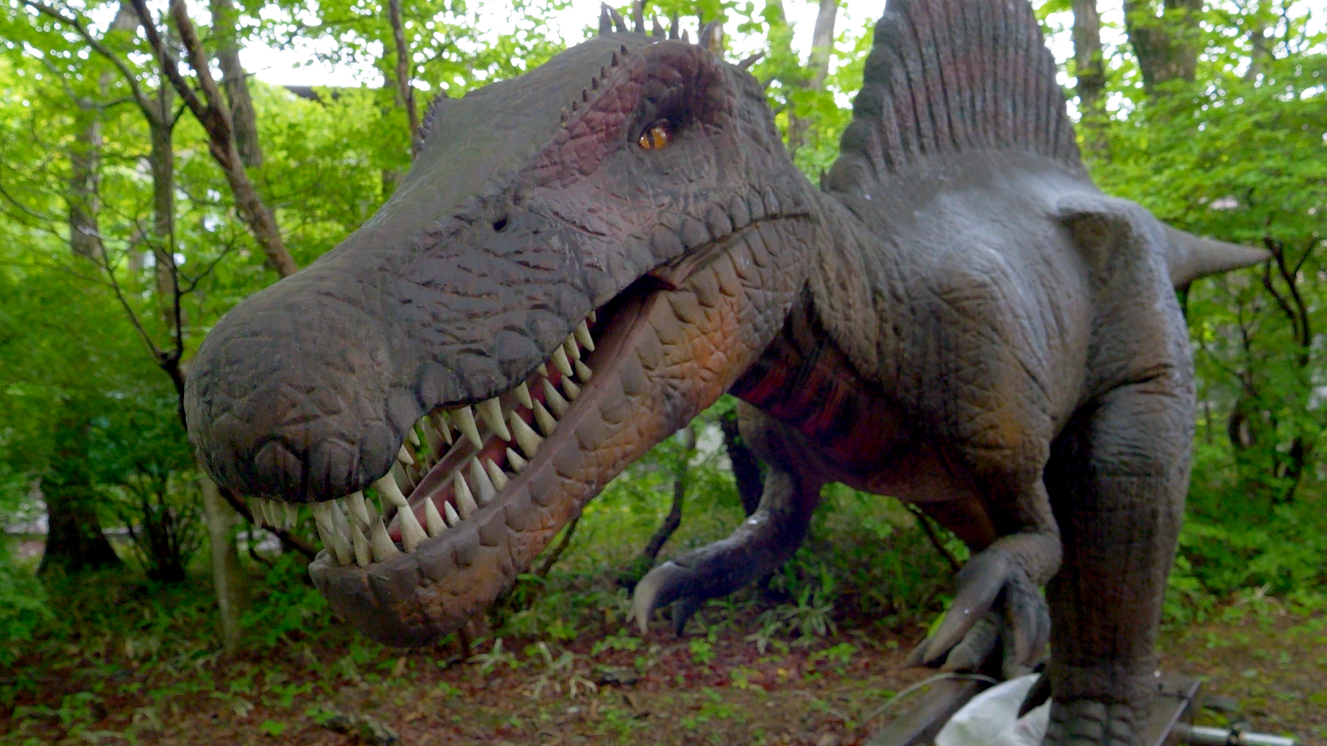 スピノサウルス