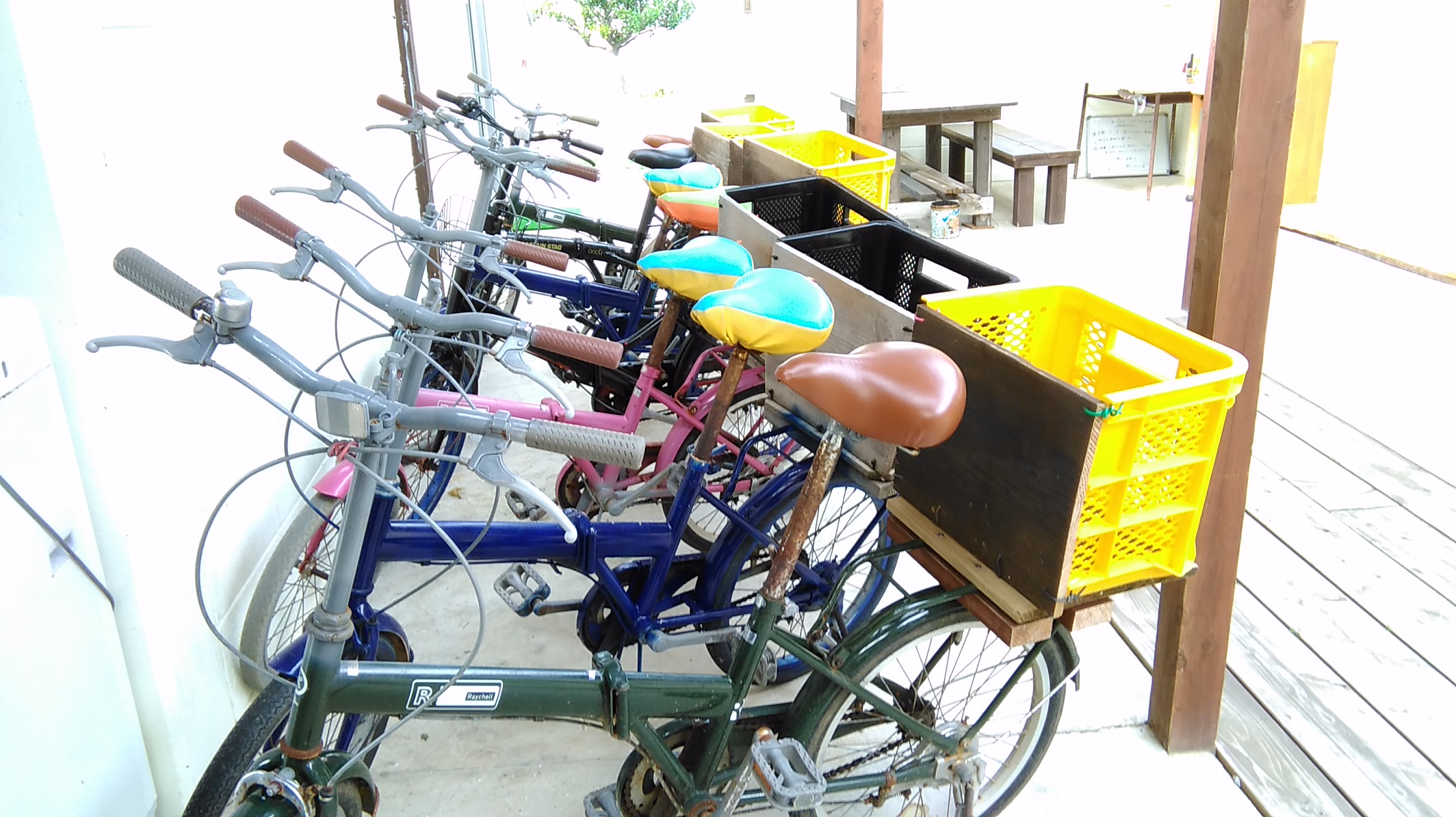 ゆっ たい & ラグーン 自転車