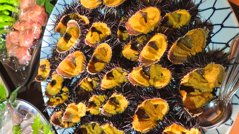 【1日1組限定】全館貸切◆【ウニ】2026年ご予約開始！新鮮で濃厚絶品甘いウニ（殻付き盛）［2食付］