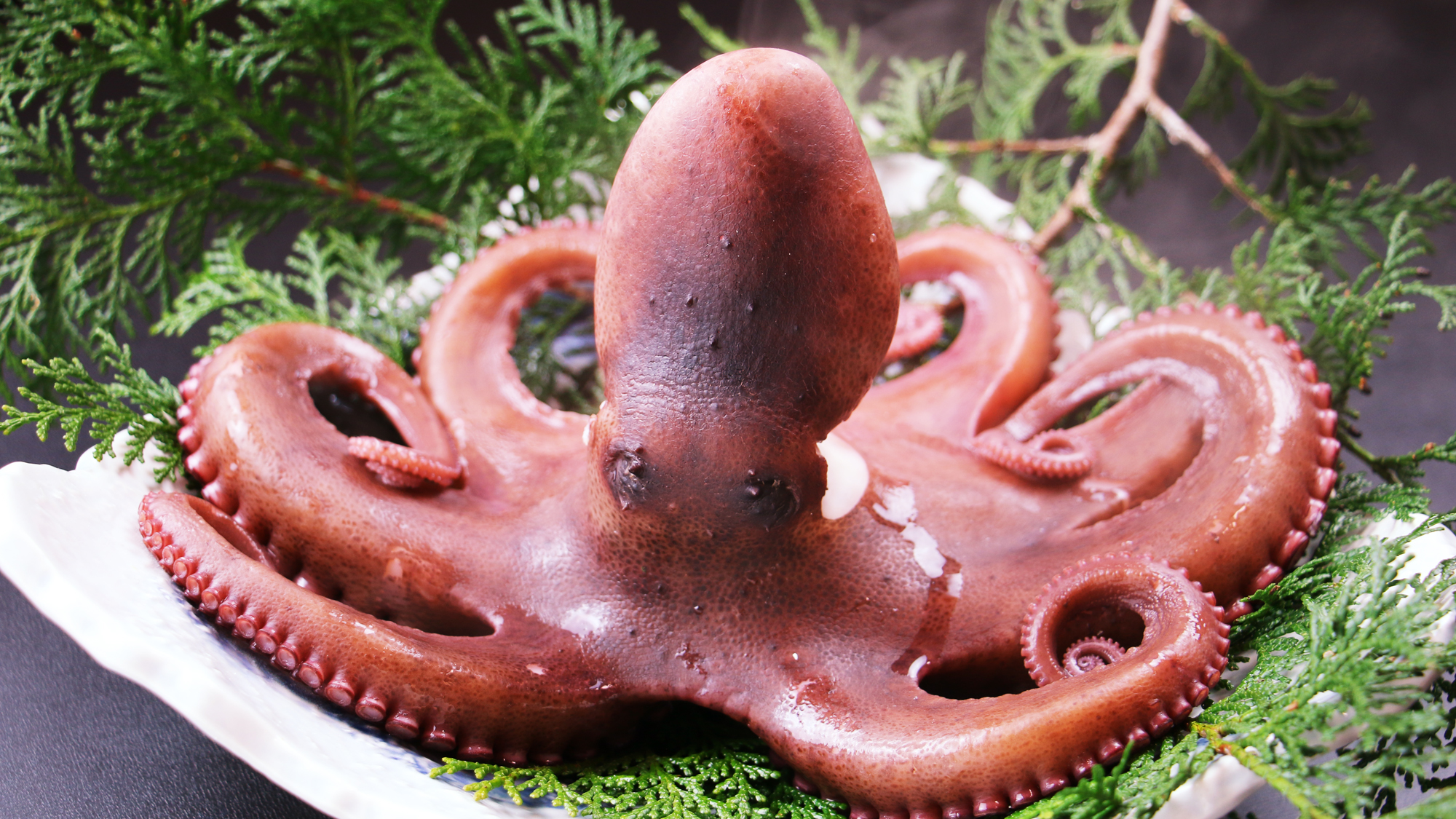 #【お食事】南三陸のタコは高級アワビなど旨味を含んだ魚介類をたらふく食べてより旨い♪