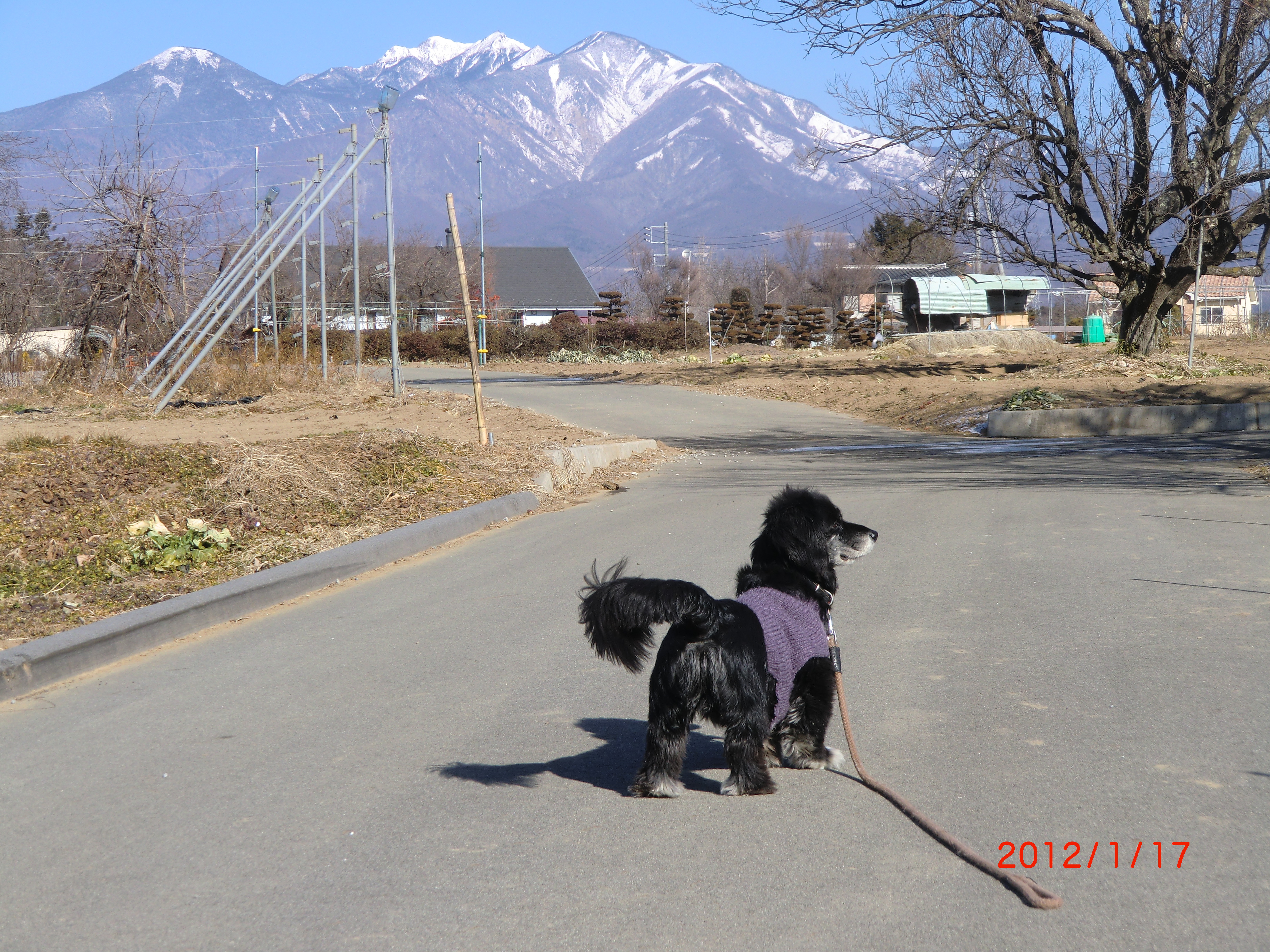 ペンション 時計館 宿泊予約 楽天トラベル