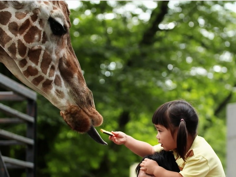 宇都宮動物園入園券付プラン(朝食付)