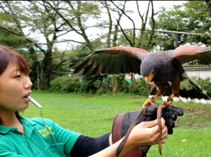 宇都宮動物園入園券付プラン(朝食付)